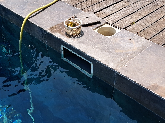 Skimmer piscine