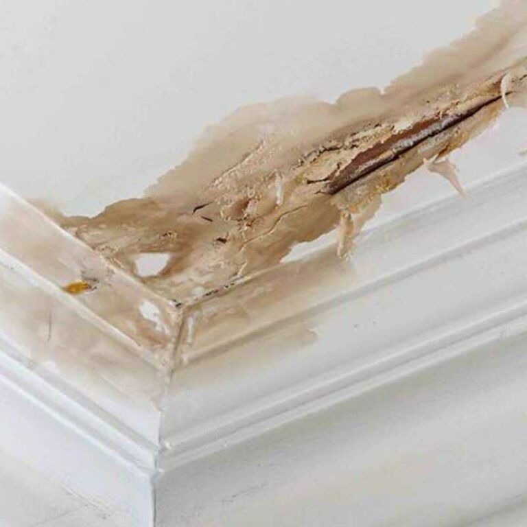 infiltration d'eau sur le plafond